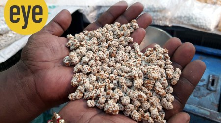 revdi, what is revdi, distributing revdis, revdi food item, revdi politics, revdi in festivals, festive foods, Sunday Eye, Eye 2022, Indian Express news