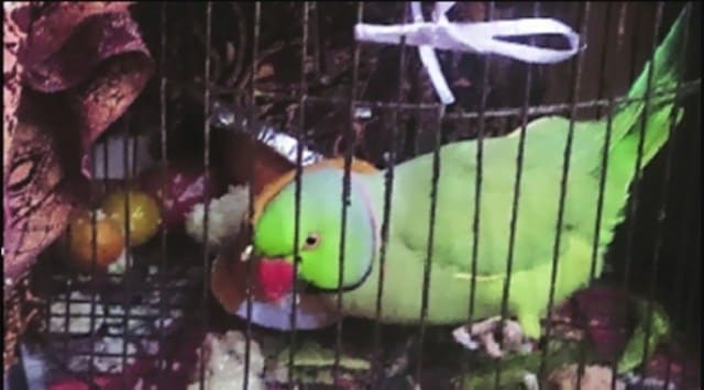 The case in this regard has been registered at Khadki police station. (Express file photo, representational)