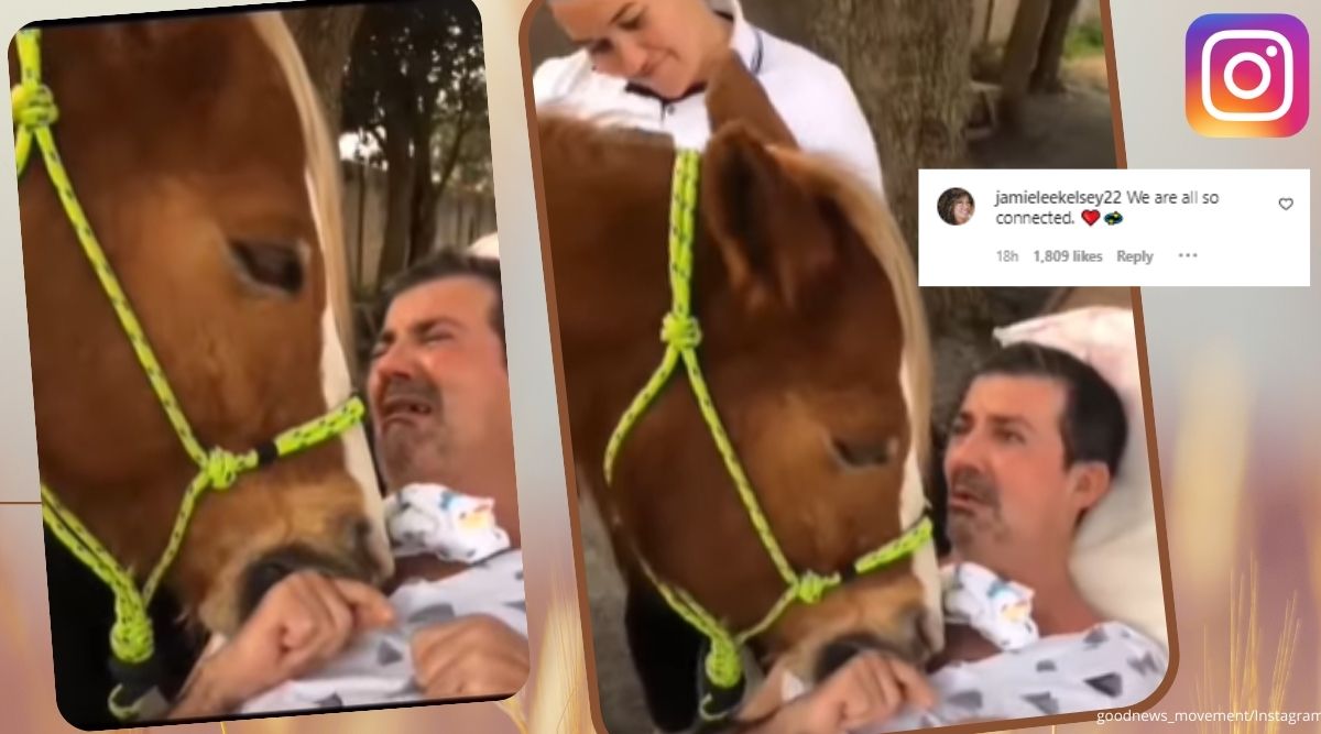 Patient, horse, moving, gesture, sweet, adorable, Instagram, viral