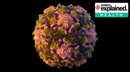 Polio, New York Polio, London Polio outbreat, Polio in Jerusalem, What is Polio, Polio vaccine, Polio outbreak, Polio news, Indian Express