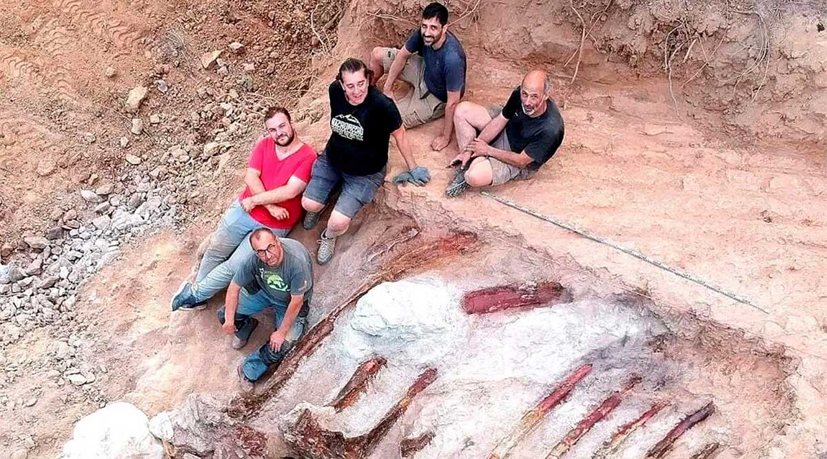 Restos de um grande esqueleto de dinossauro desenterrados em Portugal