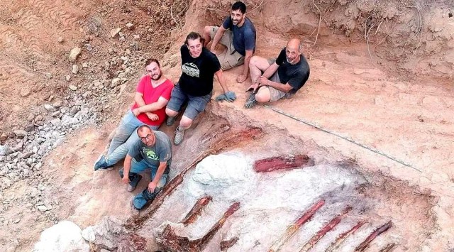 Scientists pose during a phase of the excavation works of a partial skeleton of a sauropod dinosaur at the Monte Agudo dinosaur fossil site