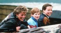 ‘She was the best mum in the world’: How Harry and William remember their mother, Princess Diana
