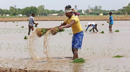The college under discussion here is Guru Nanak National College Doraha, which, through its extension cell, has been actively working in the field of stubble management for the past four years. (Express Archive)