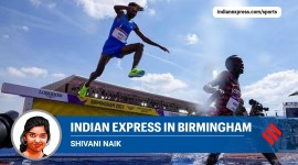 Sable (2) no alt set