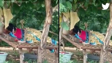 snake climbs on woman, woman lies calm after snake climbs on her, snake, indian express