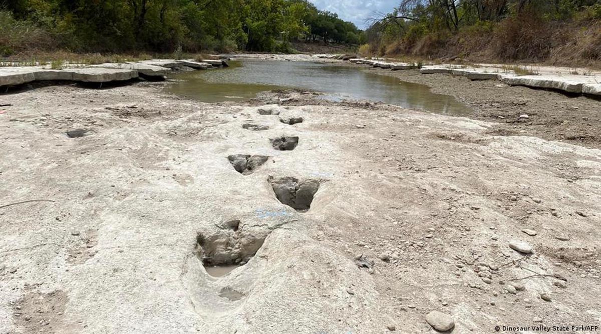 A dried-up river revealed the large prints of an Acrocanthosaurus dinosaur in Texas