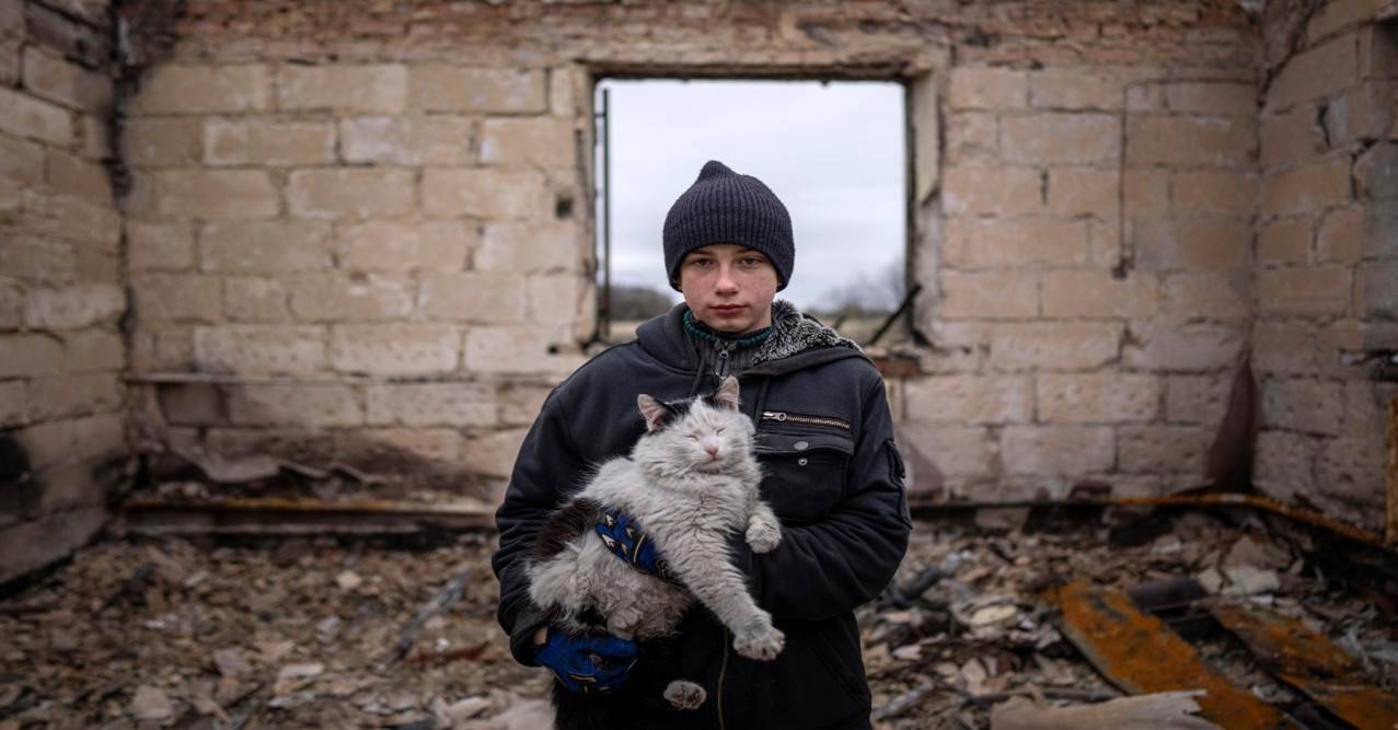 Six Months Of Ukraine War: Life Is What Happens Between Air Raid Sirens ...