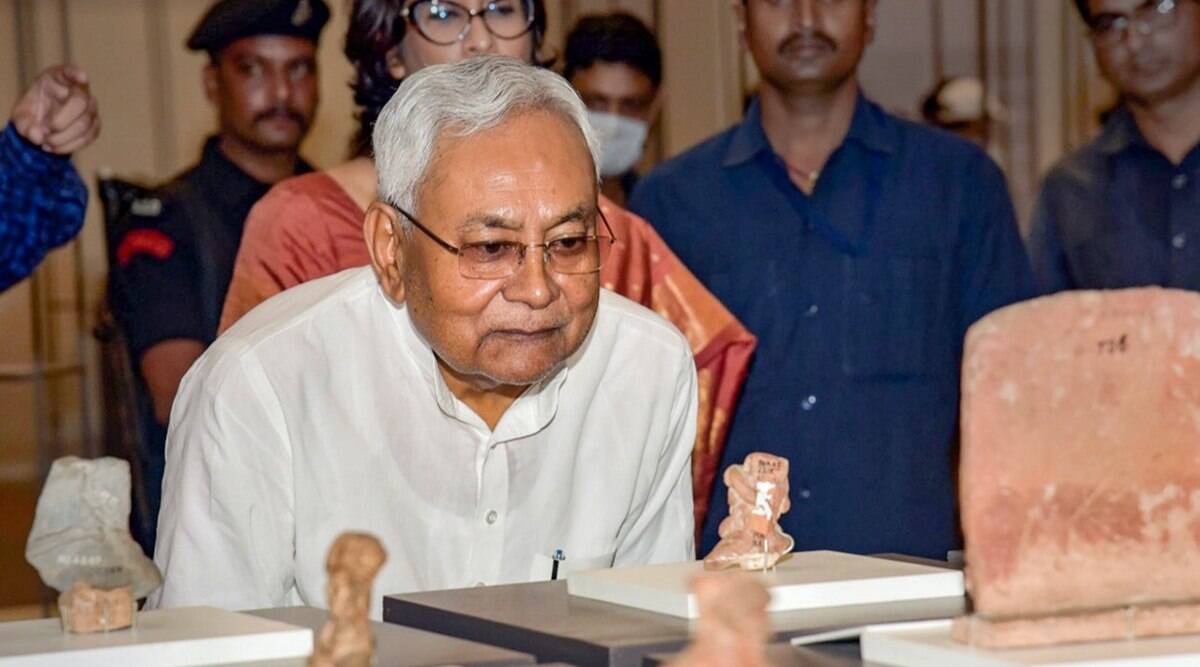 Bihar Chief Minister Nitish Kumar. (File Photo/ PTI)