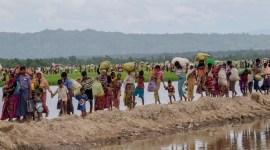 Bangladesh Rohingya
