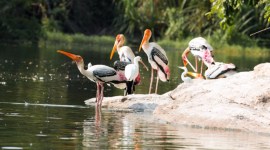 bangalore weekend getaway, bengaluru weekend trips, bangalore weekend travel, bangalore same day trip holiday, bangalore travel, bangalore, day trip, road trip, long drive, holiday, weekend, lifestyle, indian express