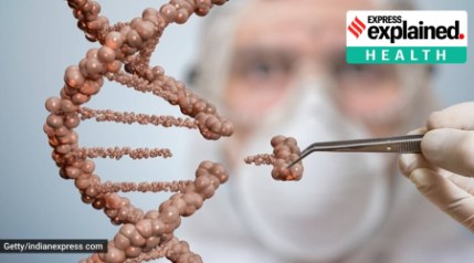 Cancer-fighting viruses can boost immune response: study