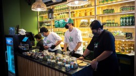 cannabis cafe