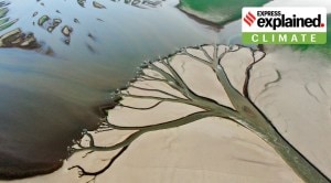 Explained: How China is dealing with a record heatwave and severe drought