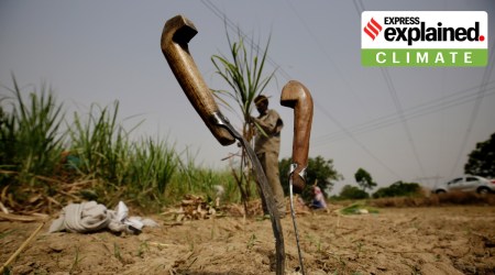 Explained: Why drought is looming over Uttar Pradesh, Jharkhand and Bihar
