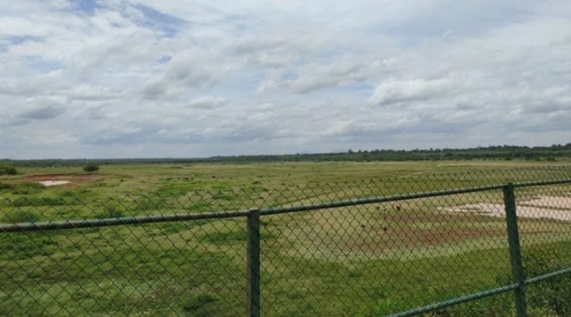 The court last year directed the government to ensure that the status of the Hesaraghatta grasslands is not altered in any manner. (Express photo)