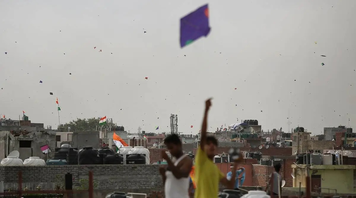 indian flag kites flying