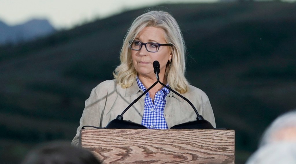 Liz Cheney is defeated by Trumpbacked Harriet Hageman World News