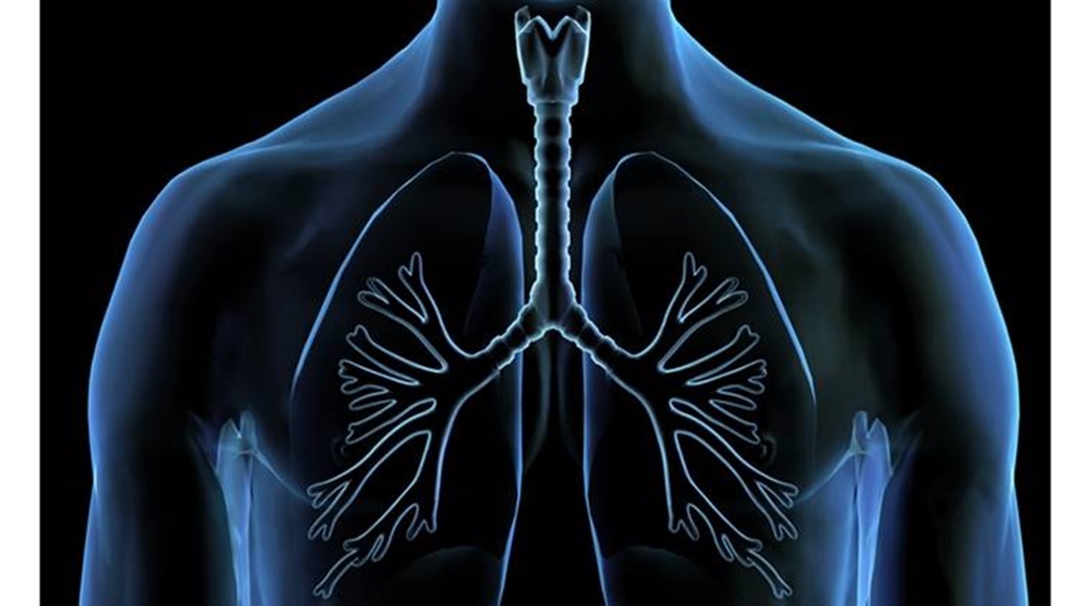 Why can a lung transplant give you a second lease of everyday living? What you will need to know