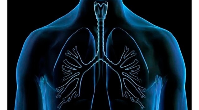 The first lung transplant happened in India in 2012 (File photo/Representational)