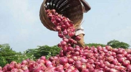Onion growers demand better prices, market points to low exports