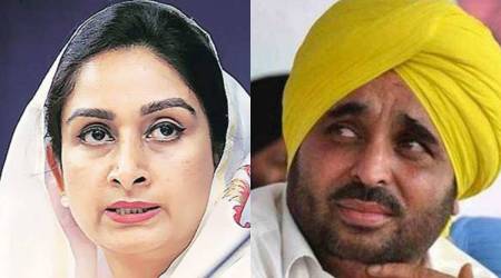 Farm Laws, Farmers Protest, COVID-19, parliament winter session, Bhagwant Mann, Harsimrat Kaur Badal, Amarinder Singh, Punjab News, Indian Express, Indian Express NewsHarsimrat Kaur and Bhagwant Mann. (File photo)
