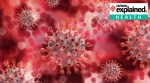 Langya Virus | Langya Henipavirus