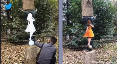 Optical Illusion, Viral Optical Illusion, Artist vanishes tree in viral optical art, Artist paints the forest optical illusion, Indian Express