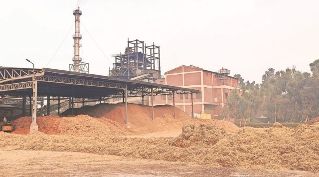 The results of trials in previous years of bio-decomposers to decompose paddy stubble after the kharif harvest “are not very encouraging” and “overall decomposition was not very significant”. (File)