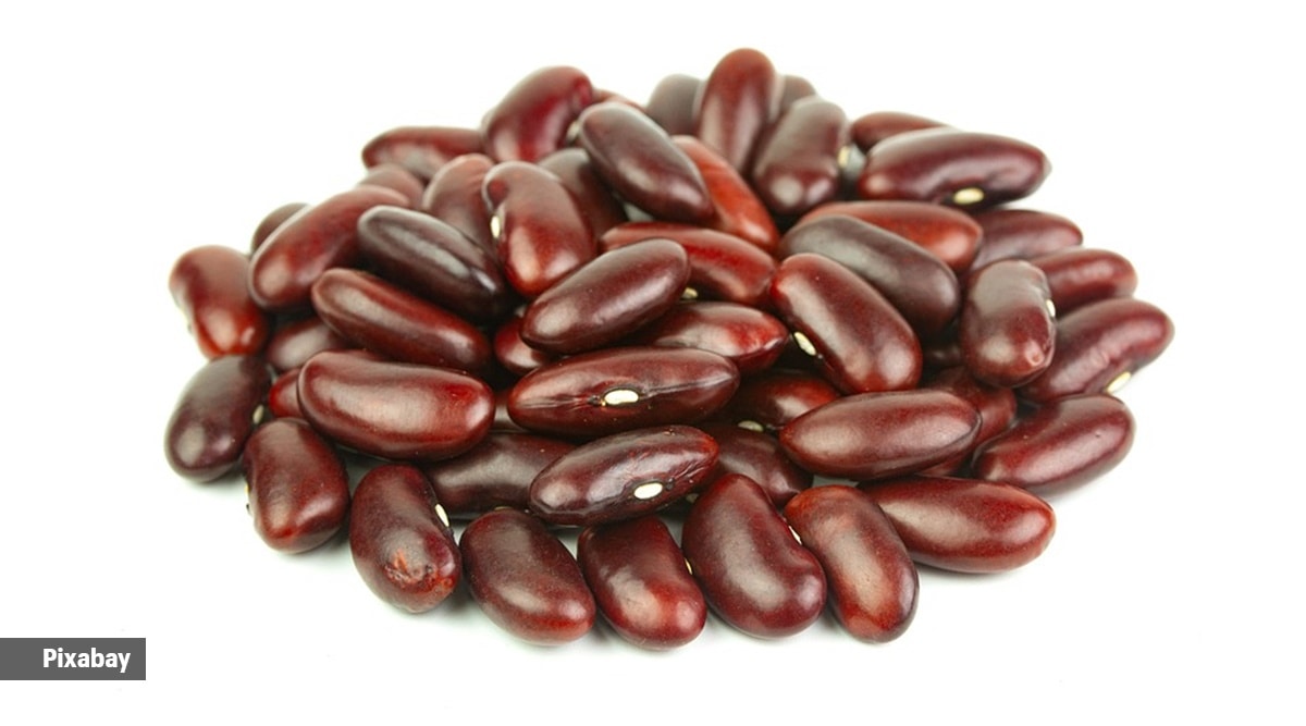 rajma