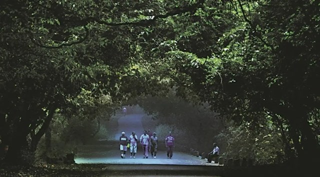 The Sanjay Gandhi National Park (File)