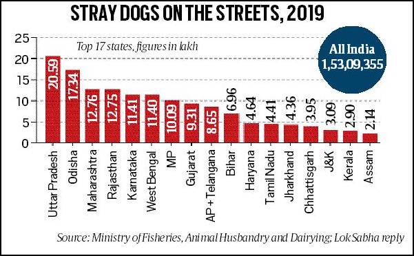 Telling Numbers: 18 lakh fewer stray dogs in 7 years, and the 1.53 crore  still on streets | Explained News,The Indian Express