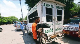 Noida Twin Towers Demolition, Supertech demolition, Delhi news, Delhi city news, New Delhi, India news, Indian Express News Service, Express News Service, Express News, Indian Express India News