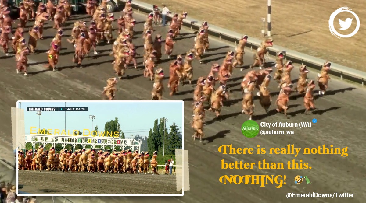 T-Rex race, T-REX race USA, hundreds participate in dinosaur costumes in USA, Viral dinosaur race, Emerald Downs dinosaur race, Indian express