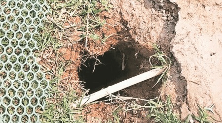 The borewell in which the puppies were stuck.(Express photo)