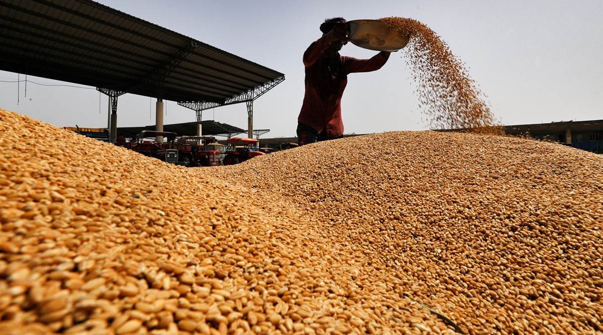 Wheat production down, but many crops set for record Business News