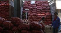 Wholesale inflation eases to 13.93% in July, govt data shows