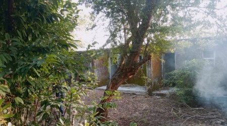 The spot where the couple was attacked by the leopard in Kodhiya Kendra in Jambuda village in Junagadh (Express Photo by Kaushik Goswami)