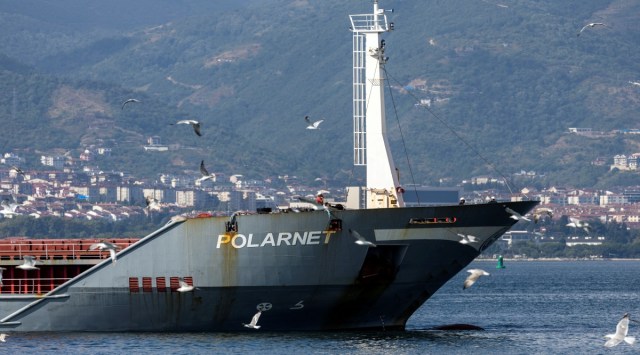 Turkish-flagged cargo ship Polarnet, carrying Ukrainian grain, approaches its final destination, marking the completion of the first shipment since the exports were re-launched from Ukraine, at Safiport Derince in gulf of Izmit in Kocaeli province, Turkey. (REUTERS/Umit Bektas/File Photo)