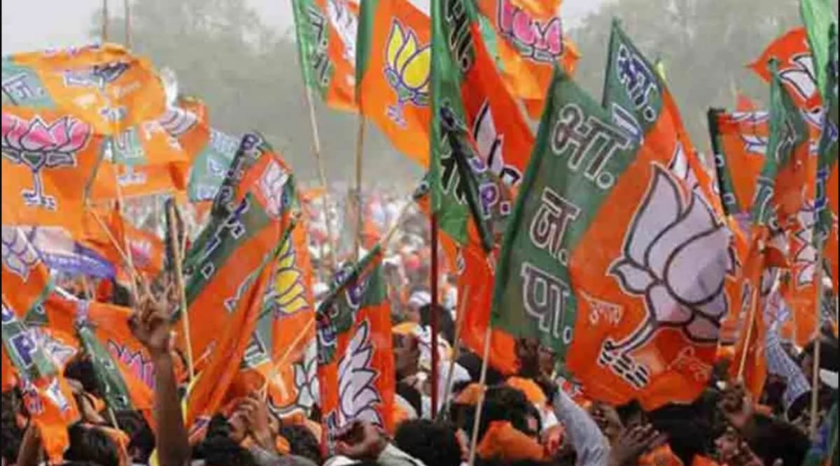 BJP-backed panel wins Jhalod APMC elections, gets 13 seats