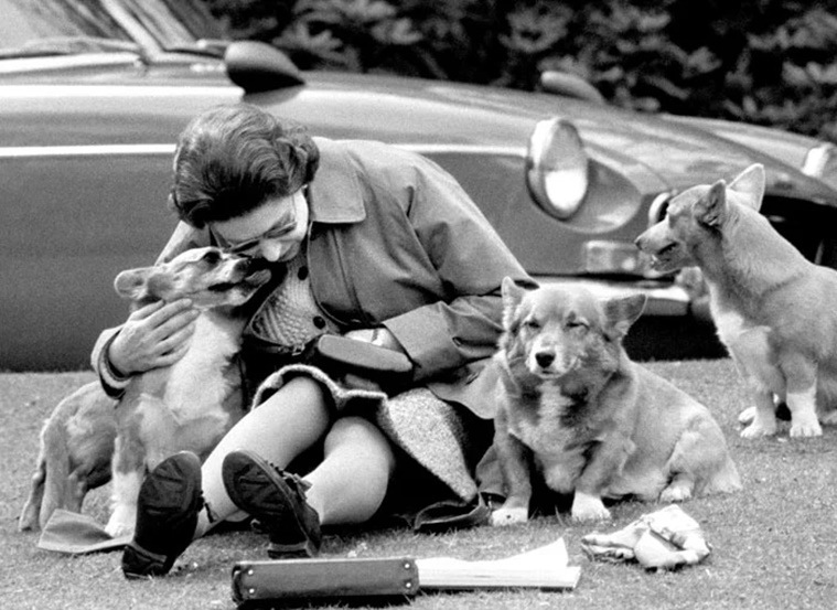 Tour de Corgi event, Tour de Corgi to honour Queen Elizabeth, Queen Elizabeth II death, Queen Elizabeth corgi dogs, Queen Elizabeth dog lover, indian express news
