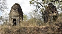 ASI reports Ajanta-era Buddhist caves, other remains in tiger reserve