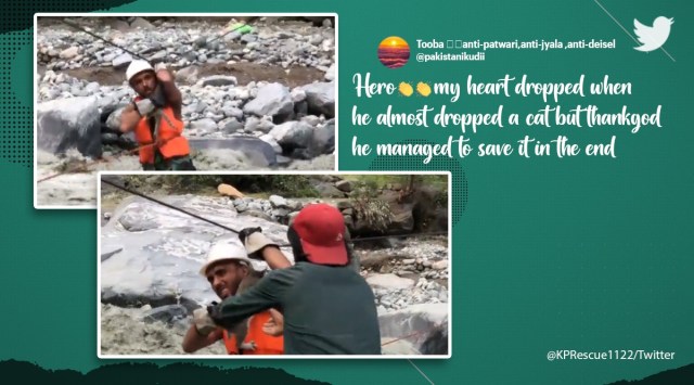 Cat rescued in Pakistan, Pakistan floods, Khyber Pakhtunkhwa, viral, trending