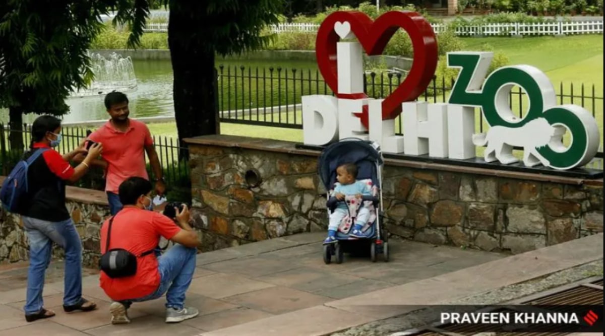 crocodiles sneak out of Delhi zoo enclosure, Delhi Zoo, Delhi zoo animals, delhi news, India news, Indian express, Indian express India news, Indian express India