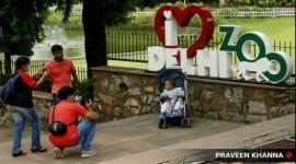 crocodiles sneak out of Delhi zoo enclosure, Delhi Zoo, Delhi zoo animals, delhi news, India news, Indian express, Indian express India news, Indian express India