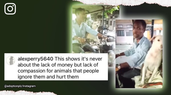 Dog travels e-rickshaw, Moti, dog, bond, love, stray dogs, viral, trending, Indian Express