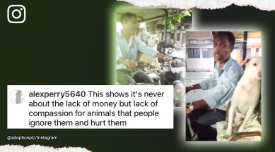 Dog travels e-rickshaw, Moti, dog, bond, love, stray dogs, viral, trending, Indian Express