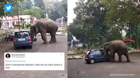 Elephant pushes car, Assam, Guwahati, Narangi Military Station, jumbo, wildlife, wild animals, conflict, hatchback car, Santro, viral, trending