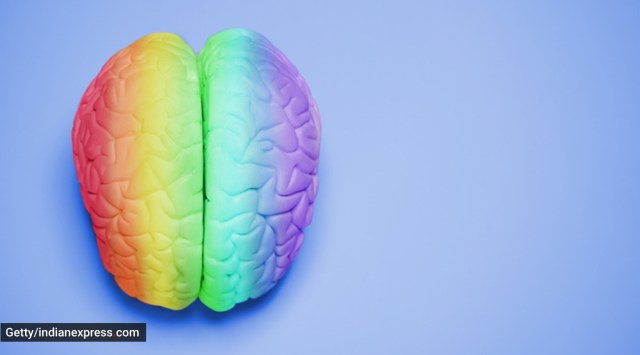 suicide prevention, suicide prevention in LGBTQ+ community, LGBTQ+ community mental health issues, LGBTQ+ community suicides, indian express news