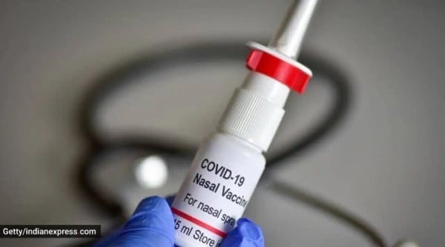 Union Health Minister Mansukh Mandaviya said that this step will strengthen "our collective fight" against the pandemic. (Representational image/Getty images)